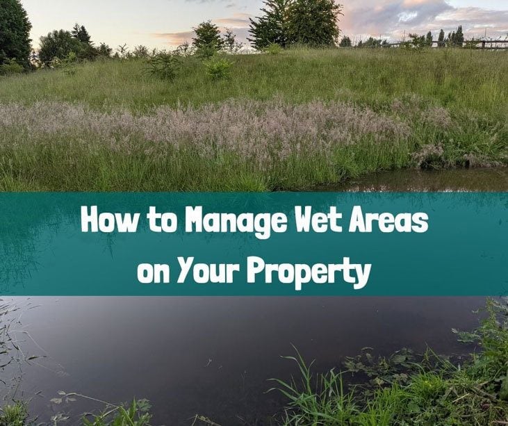 5 drainage solutions to fix your property; Orange County, NY 10950