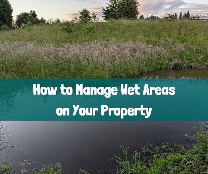 5 drainage solutions to fix your property; Orange County, NY 10950